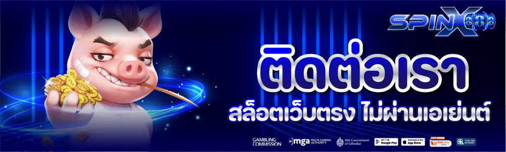 ติดต่อเรา